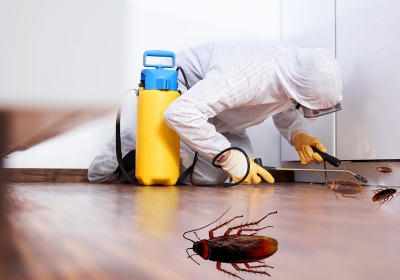 Pest Control Services